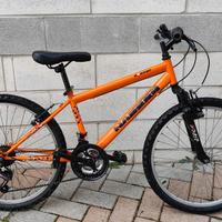 Mountain bike ruota 24