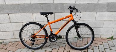 Mountain bike ruota 24