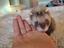Immagine 1