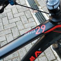 Mtb Bottecchia Gavia Reparto Corse  mis XL R. 29