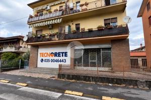 NEGOZIO A DALMINE