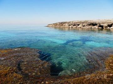 Salento Gallipoli low cost last minute