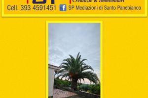 Terreno con fabbricato