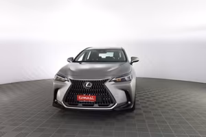 LEXUS NX NX Hybrid 4WD Business
