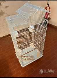 voliera  gabbia