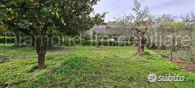 Terreno 1300 mq in parte edificabile Piedimonte