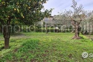 Terreno 1300 mq in parte edificabile Piedimonte