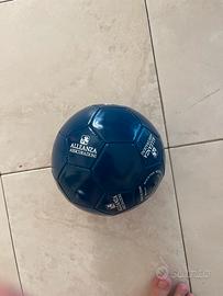 Palla di calcio
