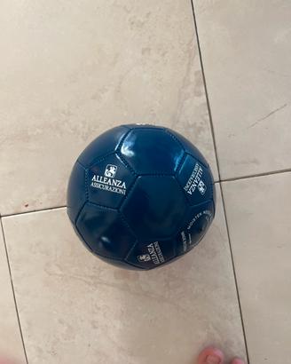 Palla di calcio