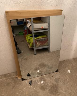 Specchio 90 x 60 Eucalipto scuro