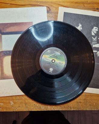 DISCO VINILE 33 GIRI DIRE STRAITS