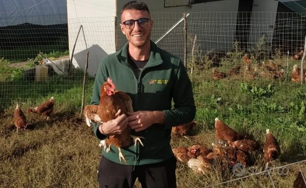 Campagna fattoria maneggio orto animali