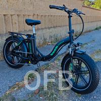 Bici elettrica fat NUOVA 750w con acceleratore 
