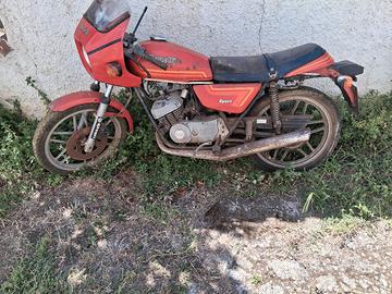 benelli 125 sport