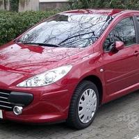 Parabrezza Peugeot 307 (2001-2008)