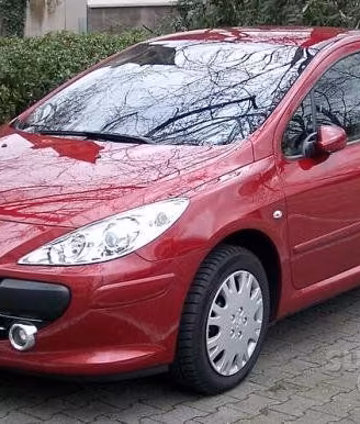 Parabrezza Peugeot 307 (2001-2008)