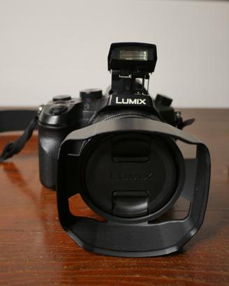 Panasonic Lumix FZ2500