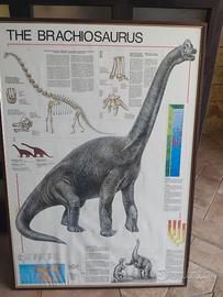 Gigantografia - Brachosaurius