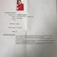 Autista patente b o addetto alle consegne