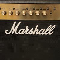 Marshall MG 100 fx