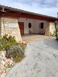 Casa indipendente con cantina e vigneto