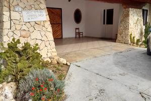 Casa indipendente con cantina e vigneto