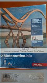 MATEMATICA.BLU+GATEWAY TO SUCCES+WORLD IN PROGR
