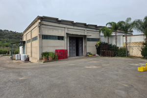 Immobile magazzino struttura uffici
