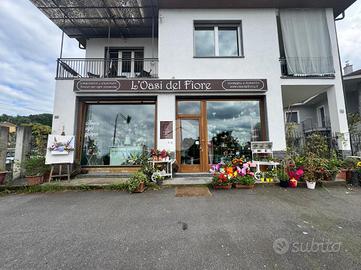 NEGOZIO A CASTIGLIONE TORINESE