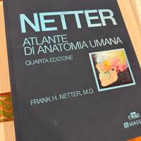 Netter atlante di anatomia umana