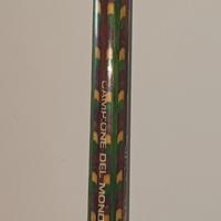 Stecca da biliardo zenith Arlecchino 