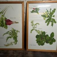 2 canovacci con cornice  in legno