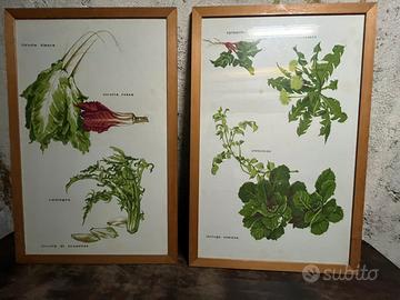 2 canovacci con cornice  in legno