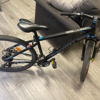 bici da uomo