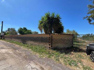 Terreno agricolo via Rovito Nettuno