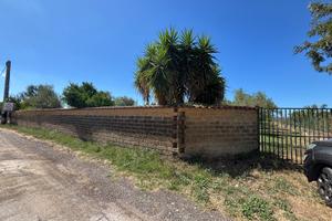 Terreno agricolo via Rovito Nettuno