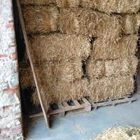 Paglia in balle piccole