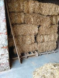 Paglia in balle piccole