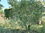 Immagine 21