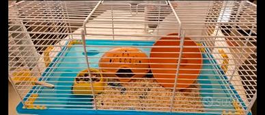 gabbia criceto 