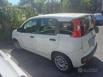 Panda 2018 funzionante
