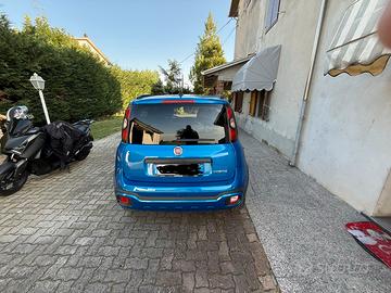Panda