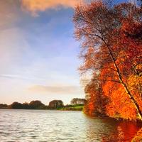 Inglés Clases Grammatica