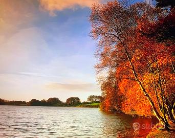 Inglés Clases Grammatica