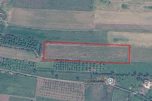 Terreno Agricolo