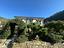 Immagine 12