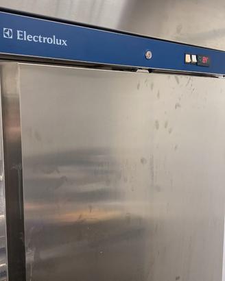 Frigorifero Professionale Electrolux