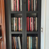 dischi in vinile musica classica 