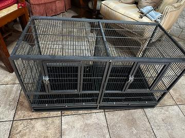 Voliera  con divisorio