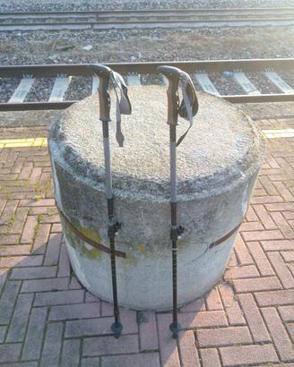 Bastoni per montagna